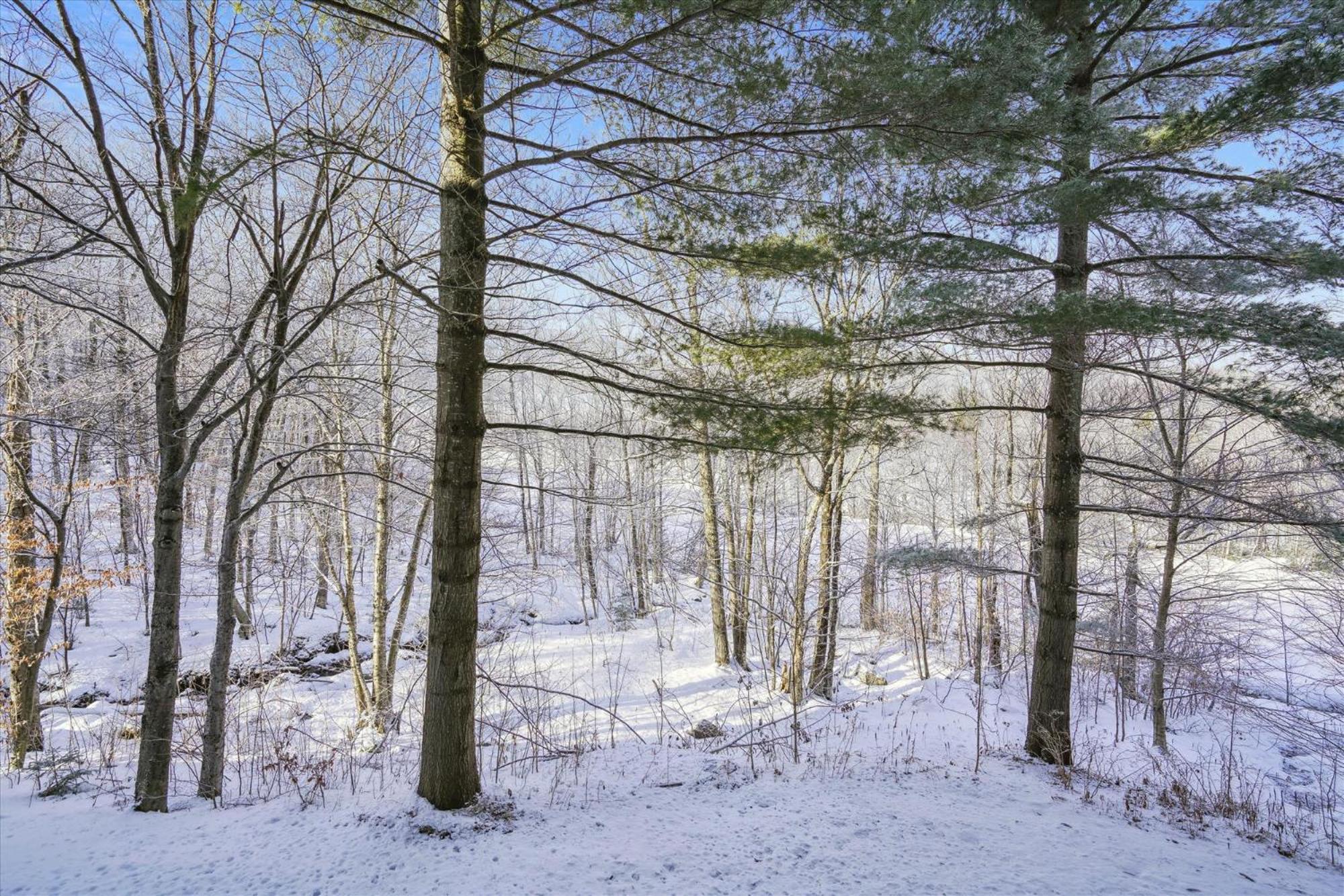 3-Bedroom Condo Ski-In, Shuttle, And Cozy Fireplace Whiffletree I3 Killington Exterior foto